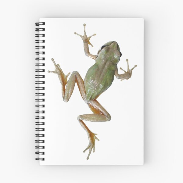 Item preview, Tree Frog designed and sold by DoodleDashCollective.