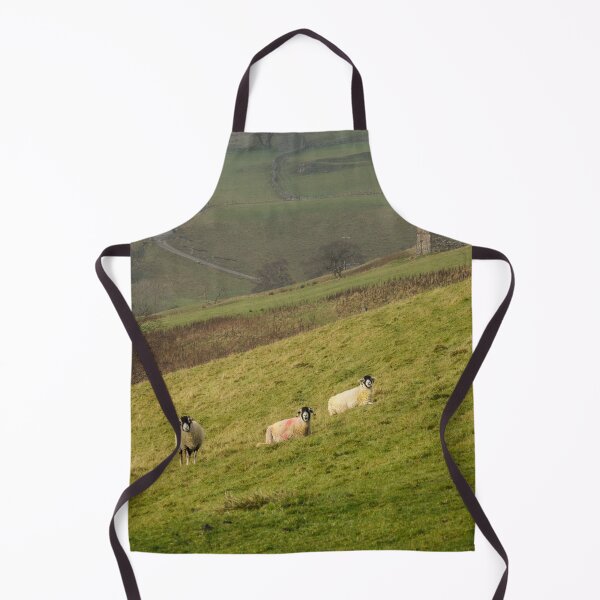 Item preview, Swaledale Sheep at Keld in Yorkshire Dales designed and sold by heidipics.
