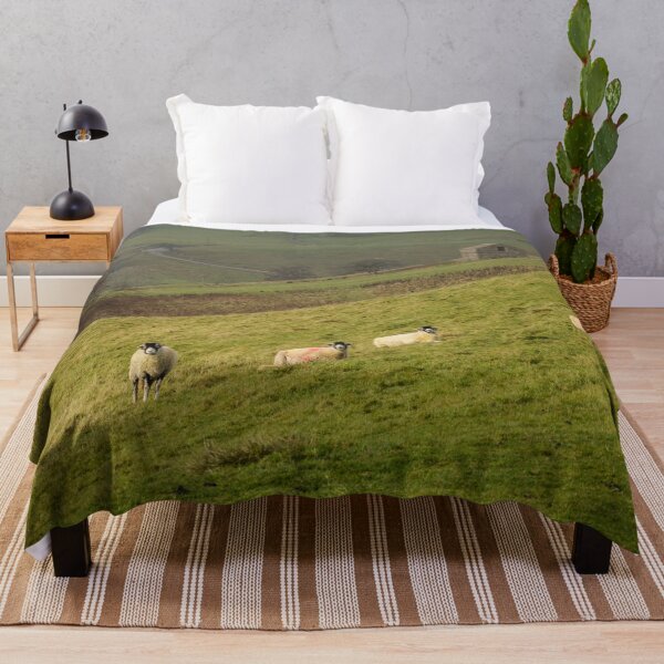 Item preview, Swaledale Sheep at Keld in Yorkshire Dales designed and sold by heidipics.