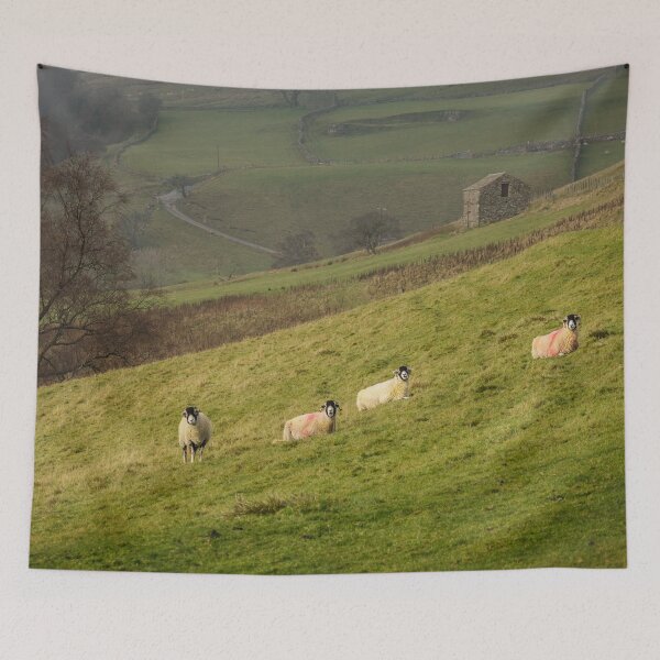 Item preview, Swaledale Sheep at Keld in Yorkshire Dales designed and sold by heidipics.