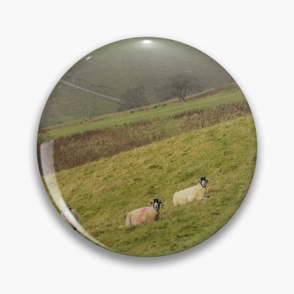 Item preview, Swaledale Sheep at Keld in Yorkshire Dales designed and sold by heidipics.