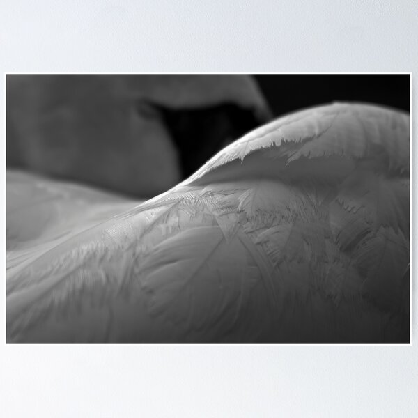 Item preview, Swan sleep designed and sold by Esther  Moliné.