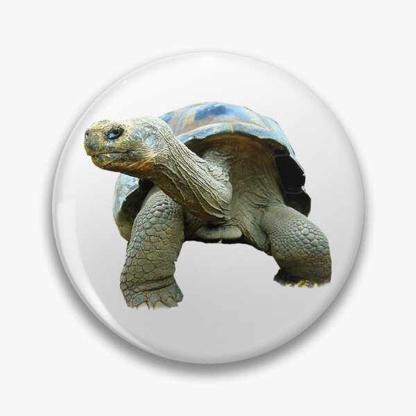 Item preview, Giant Tortoise designed and sold by DoodleDashCollective.