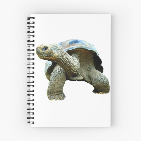 Item preview, Giant Tortoise designed and sold by DoodleDashCollective.