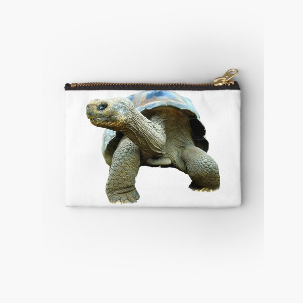 Item preview, Giant Tortoise designed and sold by DoodleDashCollective.