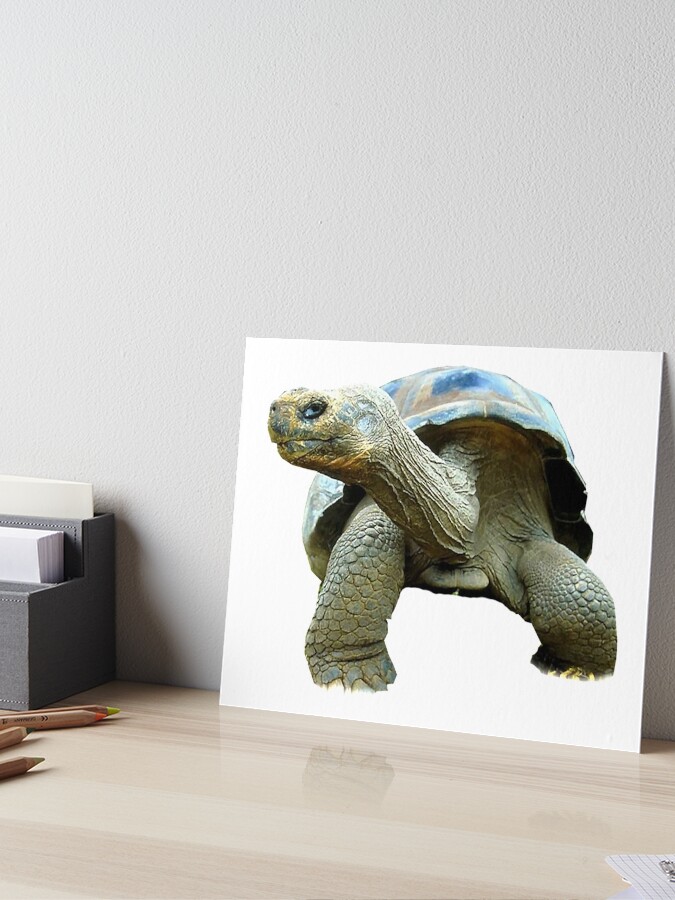 Giant tortoise, Galapagos Giant Tortoise Watercolor Painting Framed, Wall store Hanging print, Animal, Home Decor, Illustration, Ready to Hang