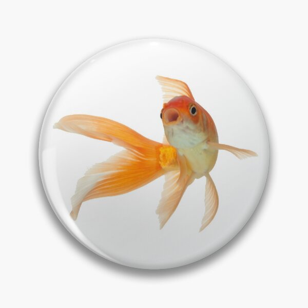 Item preview, Goldfish designed and sold by DoodleDashCollective.