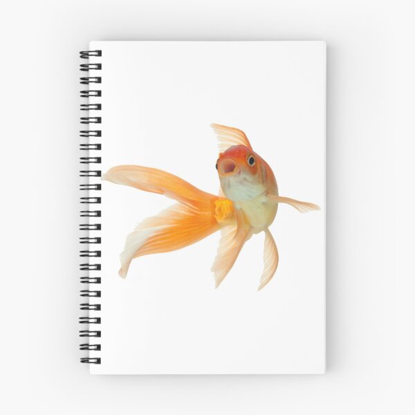 Artikelvorschau, Goldfisch entworfen und verkauft von DoodleDashCollective.