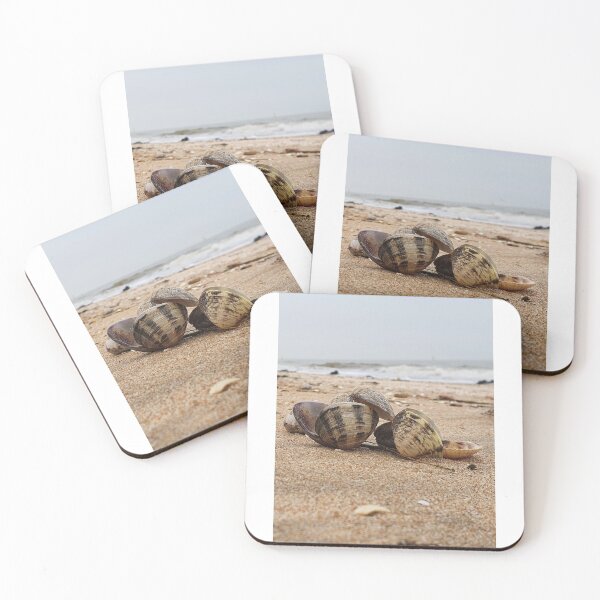 Artikelvorschau, Muscheln natürlich am Strand platziert Fotografie entworfen und verkauft von s10-Photography.