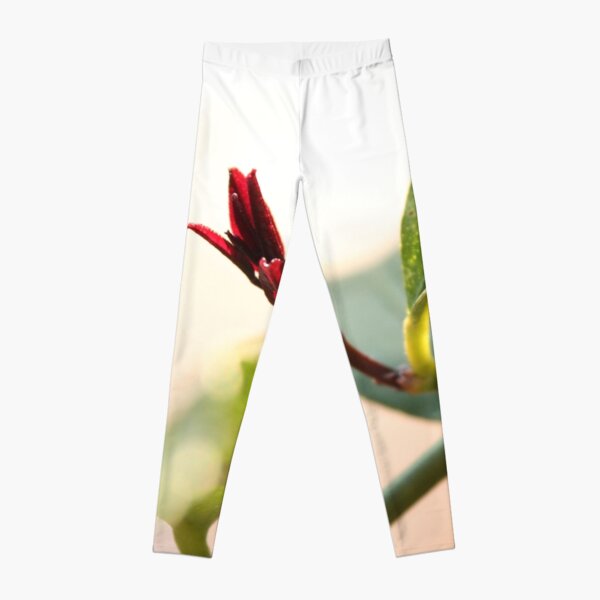 Citrus Leggings