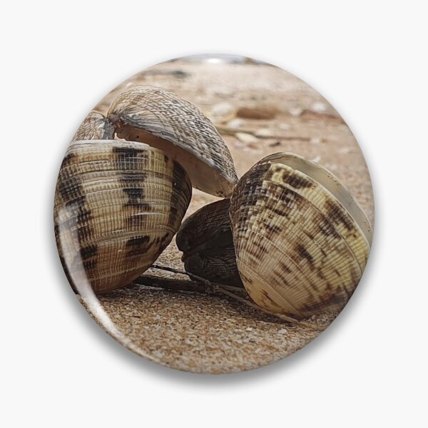 Item preview, Close up shells on a beach photography designed and sold by s10-Photography.