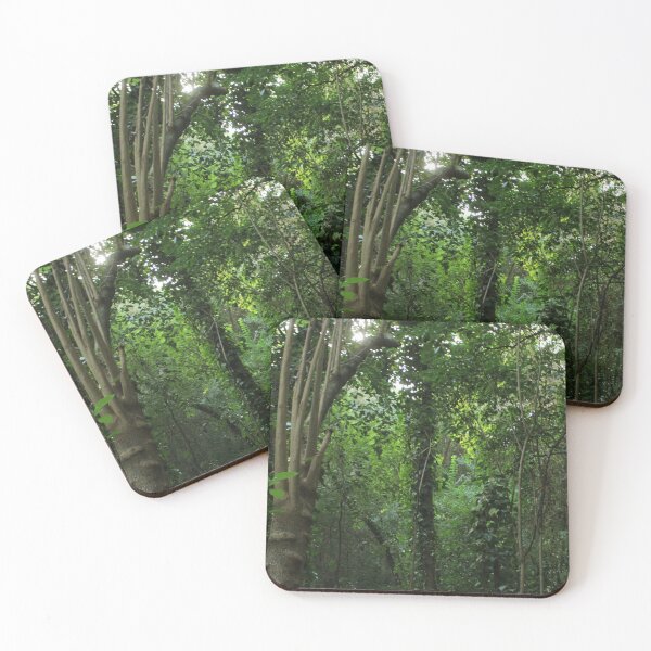 Item preview, Forest Reserve full of green in Argentina designed and sold by Floramisu.