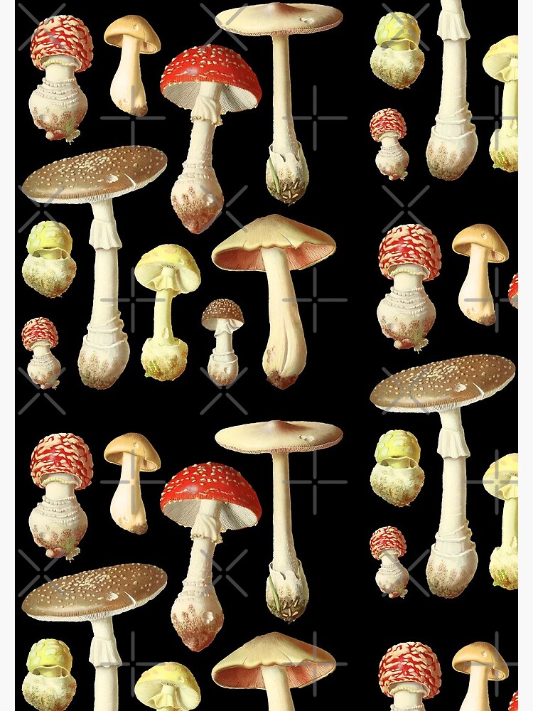 Mushroom Vintage Versatile Mountains and Forests Crystal PET