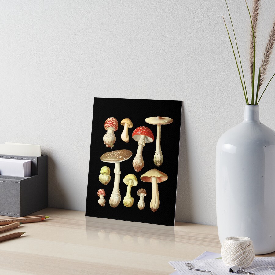 "Cottagecore Aesthetic Mushrooms Cute Vintage Mycology" Art Board
