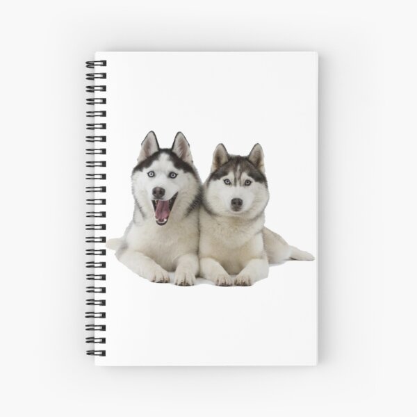 Schreibwaren Husky Redbubble