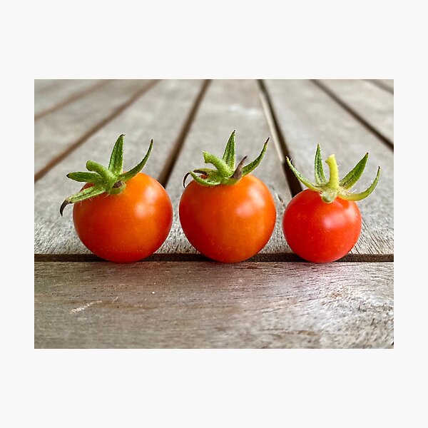 Tiny Tomatoes 2 Photographic Print