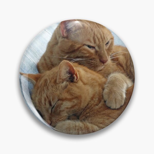 Item preview, Brotherly Love designed and sold by Frankie Cat Photography.