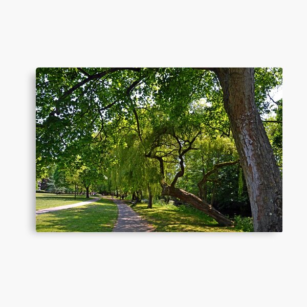 A Walk Along The River Sid- Sidford,Devon,UK Canvas Print