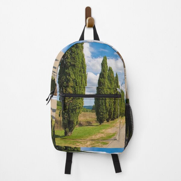 Item preview, San Galgano Abbey Landscape, Tuscany designed and sold by jojobob.