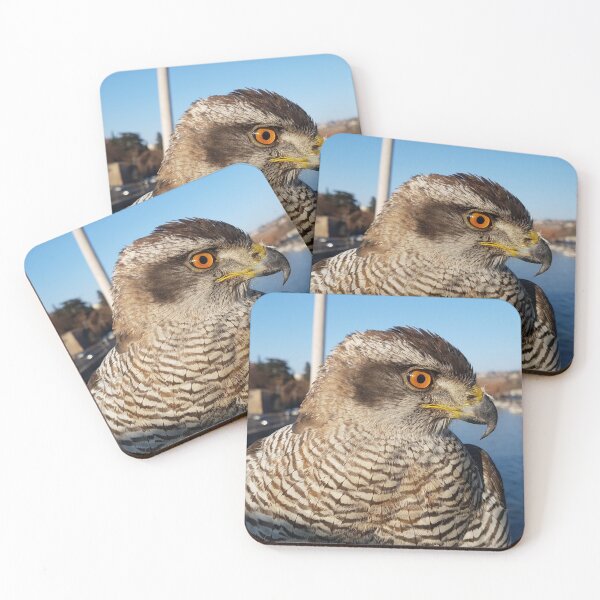 Item preview, Hawk designed and sold by redgoch.