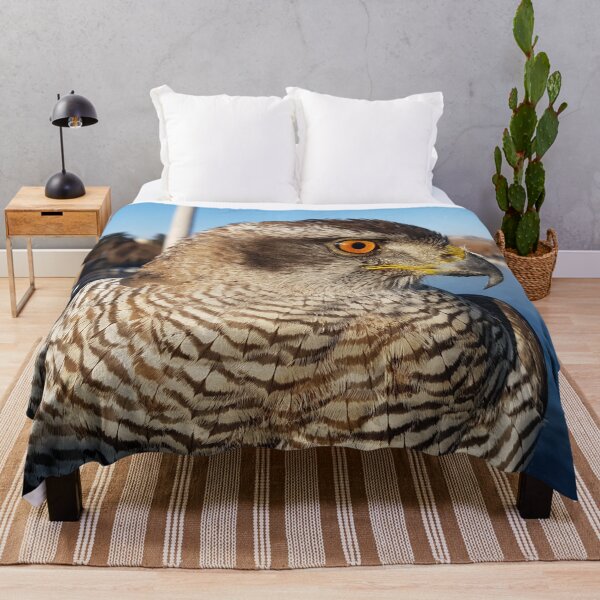 Item preview, Hawk designed and sold by redgoch.
