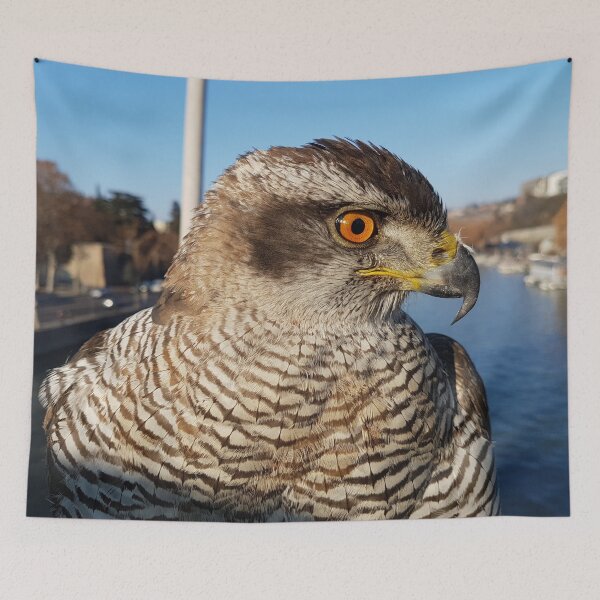 Item preview, Hawk designed and sold by redgoch.