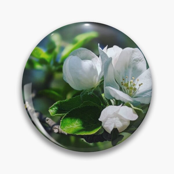 Item preview, Apple blossoms designed and sold by toomuchangela.