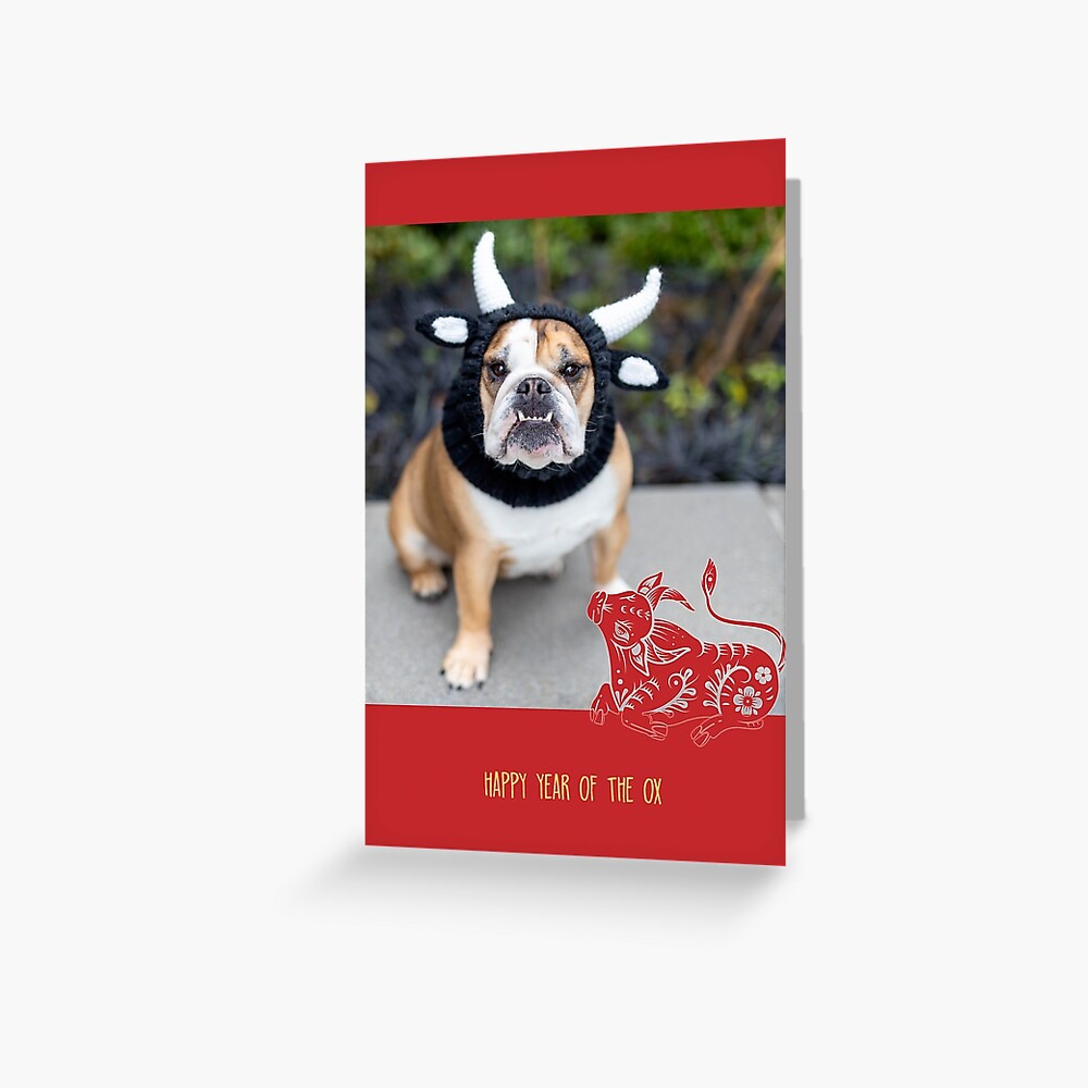 Year of the Ox, red Greeting Card