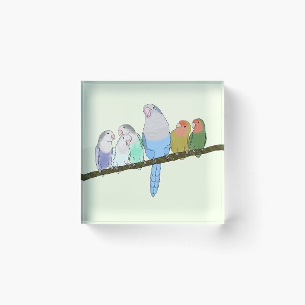 Item preview, The Flock (Lovebirds and Quaker) designed and sold by Sentoki.