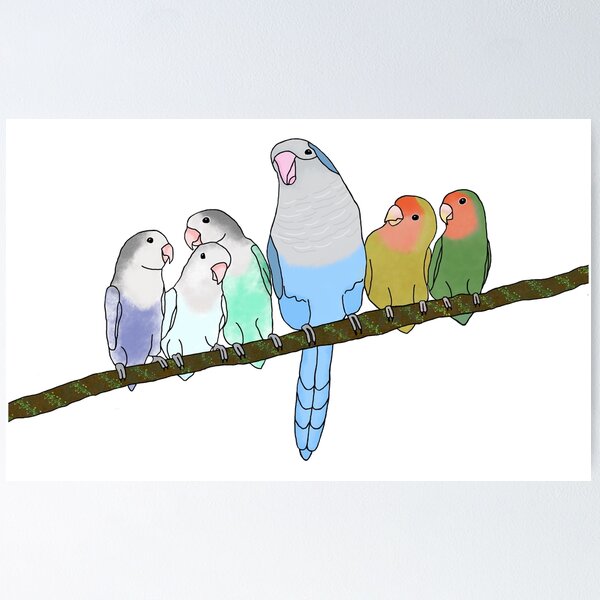 Item preview, The Flock (Lovebirds and Quaker) designed and sold by Sentoki.