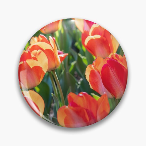 Item preview, Tulips 2 designed and sold by Praytera.