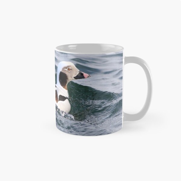 Item preview, Long tailed duck at Burlington Canal. designed and sold by KimhengFineArt.