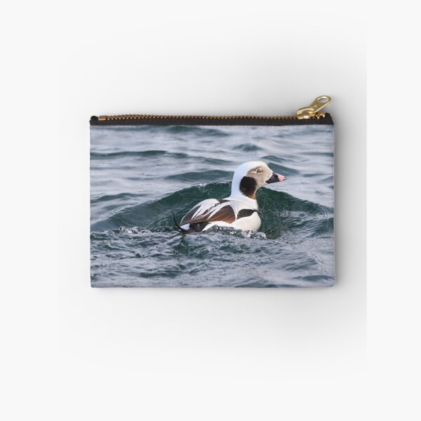 Item preview, Long tailed duck at Burlington Canal. designed and sold by KimhengFineArt.