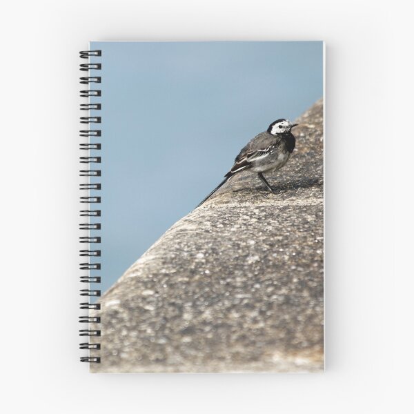 Item preview, Edgy birdy designed and sold by Esther  Moliné.