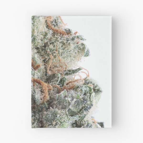 Item preview, Good Morning designed and sold by Latertia.