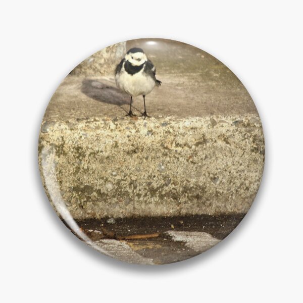 Artikelvorschau, Kleiner Bachstelzenvogel aus Dublin entworfen und verkauft von Esther Moliné.