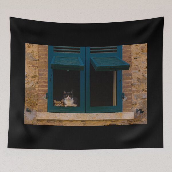 Item preview, Cats in Window in Montemerano, Tuscany designed and sold by jojobob.