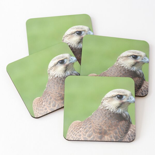 Item preview, Falcon bird designed and sold by KimhengFineArt.