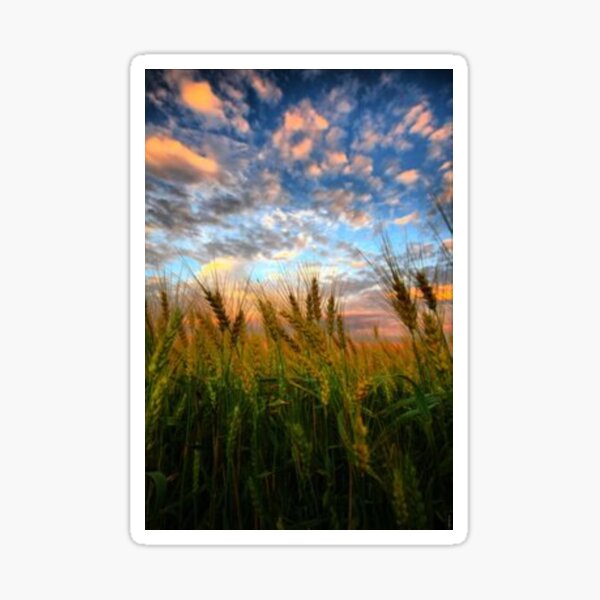 Item preview, Wonderful wheat farm. designed and sold by Lan thi Nguyen.