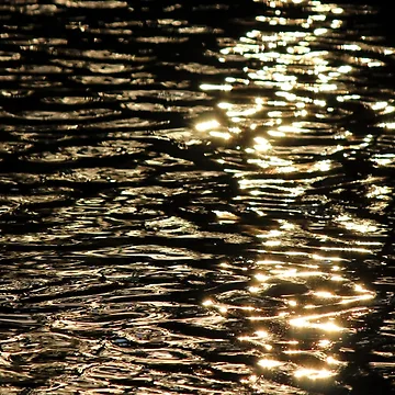Artwork thumbnail, River Reflection by Codee Pyke
