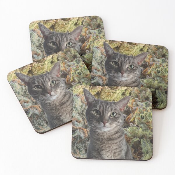 Item preview, All we need is cats and weed! designed and sold by Latertia.