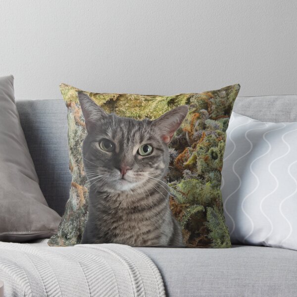 Item preview, All we need is cats and weed! designed and sold by Latertia.