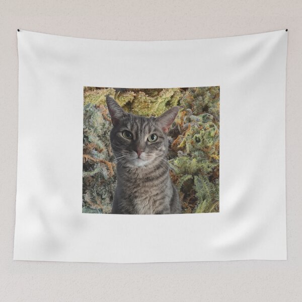 Item preview, All we need is cats and weed! designed and sold by Latertia.