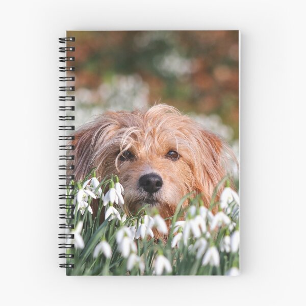 Item preview, Dog in snowdrops I designed and sold by GreyFeatherPhot.