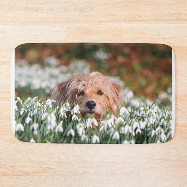 Item preview, Dog in snowdrops I designed and sold by GreyFeatherPhot.