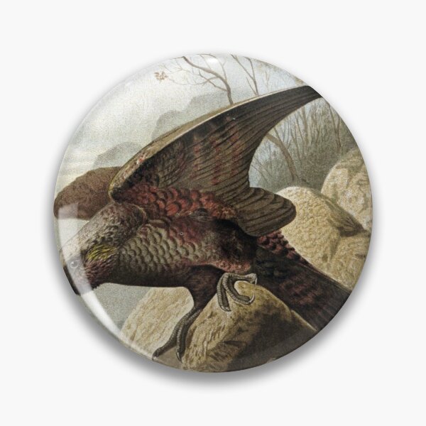 Item preview, Kaka Parrots designed and sold by redoARTstore.