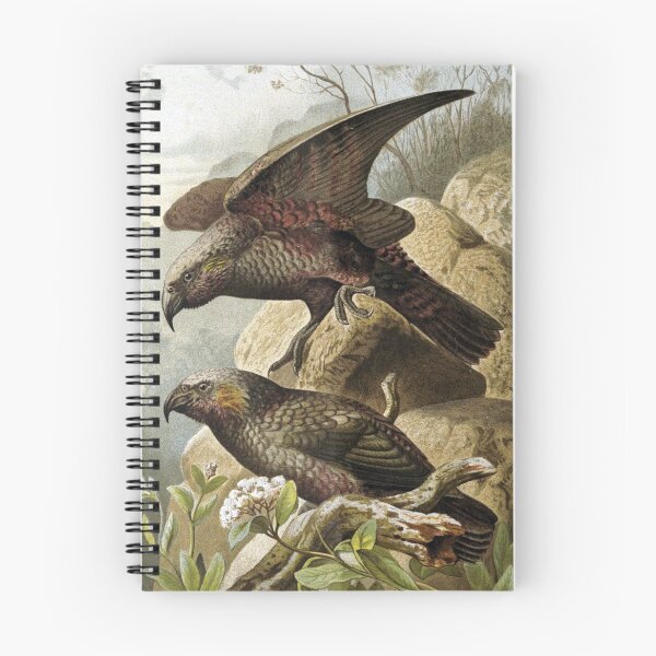Item preview, Kaka Parrots designed and sold by redoARTstore.