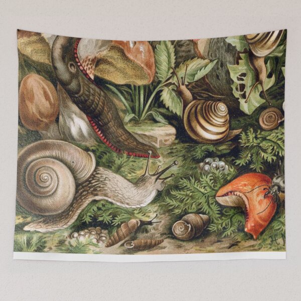 Item preview, Land Molluscs (Snails) designed and sold by redoARTstore.