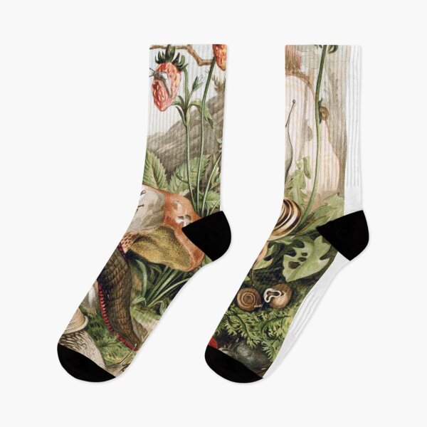 Item preview, Land Molluscs (Snails) designed and sold by redoARTstore.