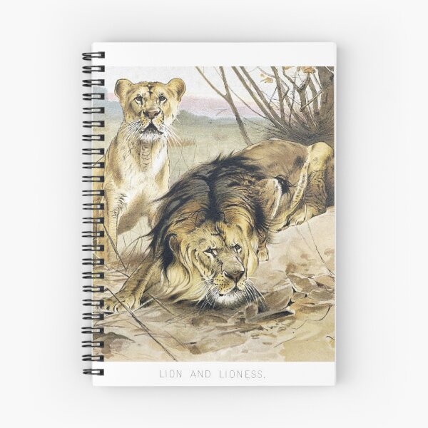 Item preview, Lion and Lioness designed and sold by redoARTstore.